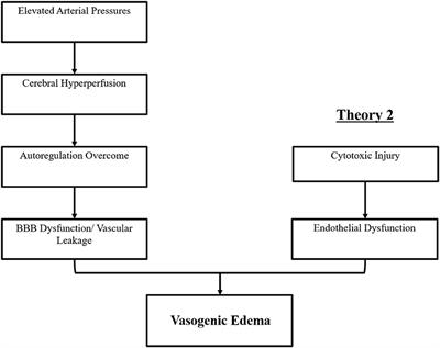 Posterior Reversible Encephalopathy Syndrome (PRES): Pathophysiology and Neuro-Imaging